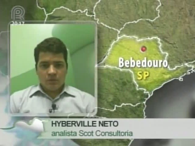Analista da Scot Consultoria fala sobre o preço do boi gordo
