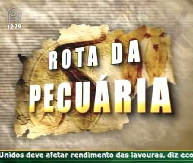 Rota da Pecuária vai fazer mapeamento da produção de gado brasileira