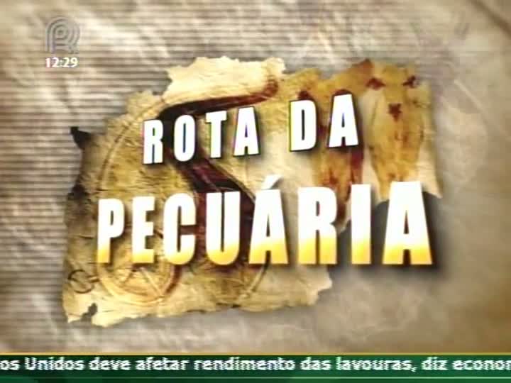 Rota da Pecuária vai fazer mapeamento da produção de gado brasileira