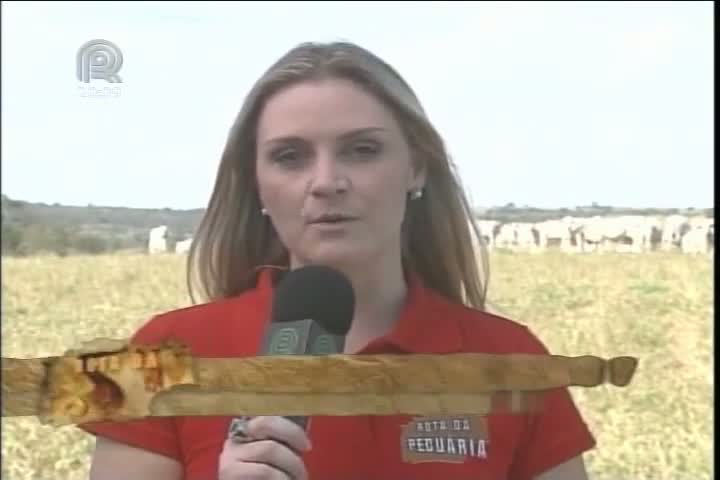 Rota da Pecuária visita os municípios de Anápolis e Ipameri, em Goiás