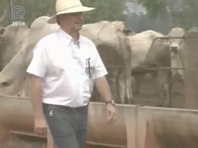 Projeto Rota da Pecuária passa pelo o extremo oeste de Mato Grosso