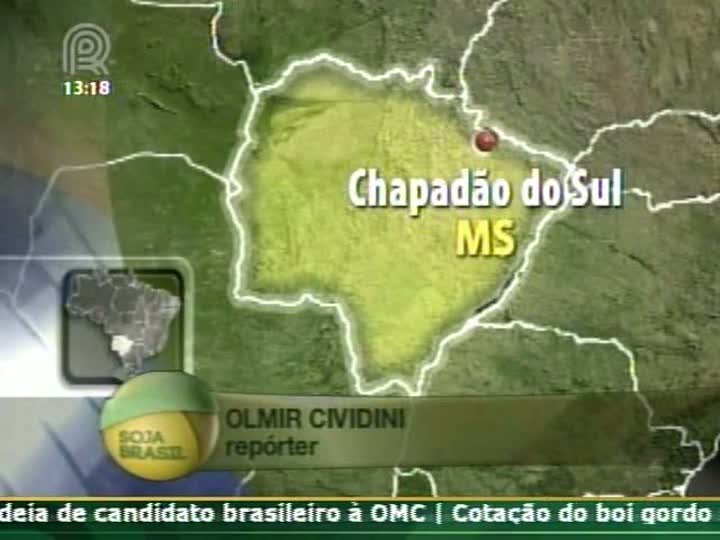 Repórter do Soja Brasil fala sobre desenvolvimento da soja em Mato Grosso do Sul