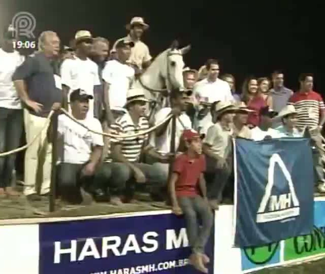Parte 1: Mangalarga Marchador desta a as atrações da 32ª Exposição Nacional, em Belo Horizonte