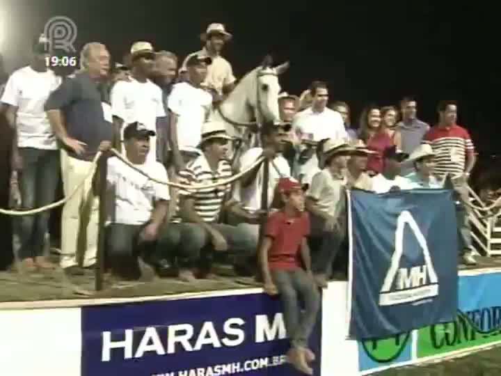 Parte 1: Mangalarga Marchador desta a as atrações da 32ª Exposição Nacional, em Belo Horizonte