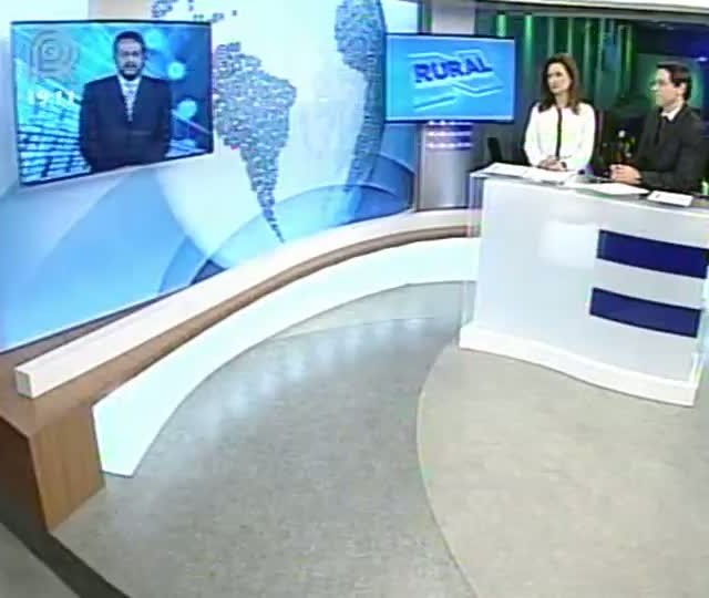 Miguel Daoud comenta sobre as medidas de apoio à comercialização do milho