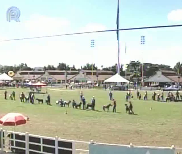 Diversificação de eventos e de negócios caracteriza a Superagro em Belo Horizonte (MG)