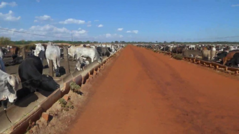 Parceiros do Campo – Goiânia – GO