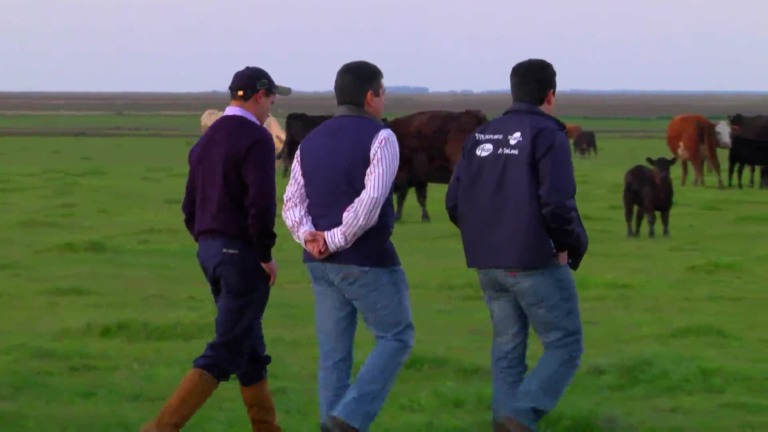 Parceiros do Campo – Rio Grande – RS