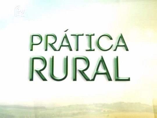 Prática Rural fala sobre o tamanduá da soja