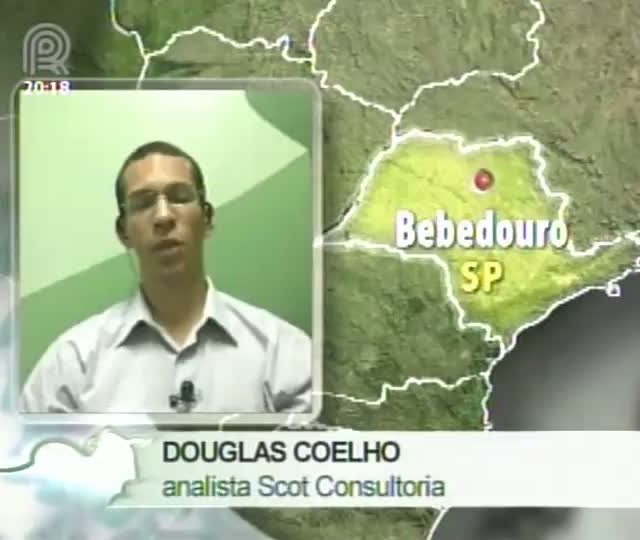 Analista da Scot Consultoria fala sobre programação de abate