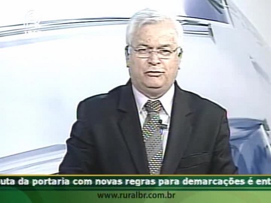 Liderança do setor de aves diz que demanda de final de ano está baixa