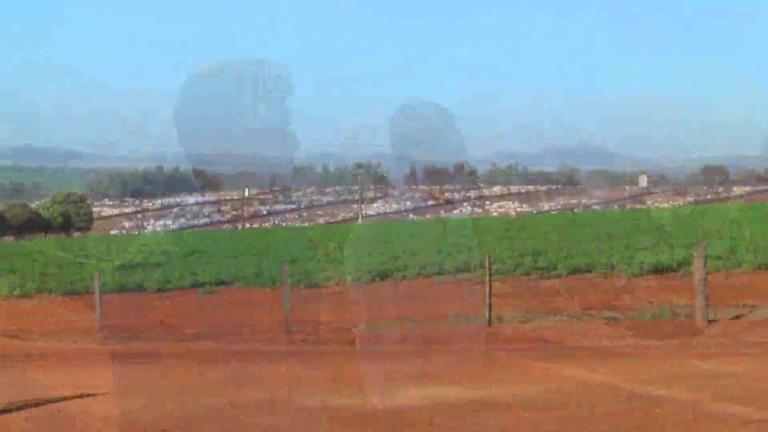 Parceiros do Campo- Goianésia – GO