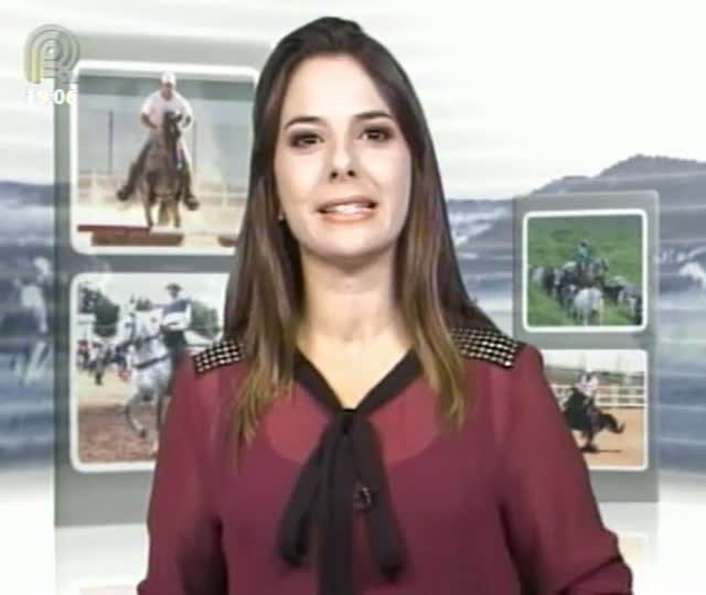 Parte 01: Mangalarga TV mostra que o Haras Ardrak (GO) quer ser referência na linhagem Favacho