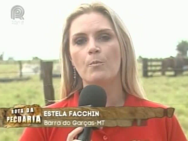 Rota da Pecuária encontra propriedade em MT que incentiva uso de tecnologias nas fazendas com o dia de campo