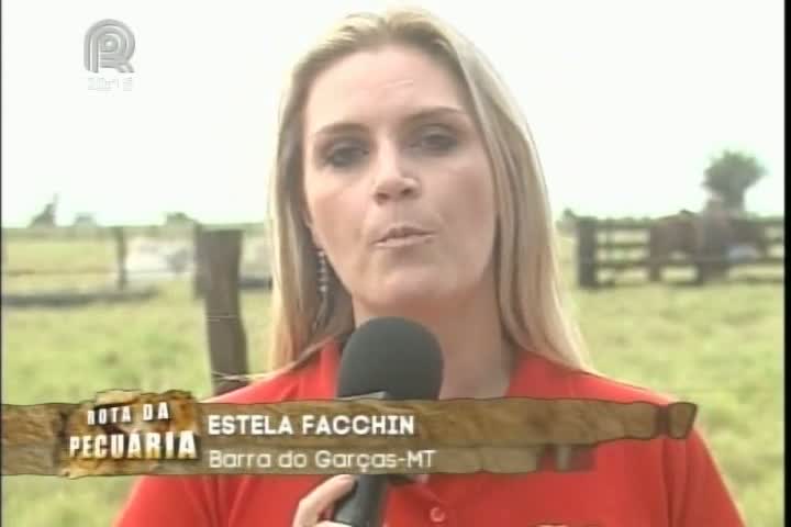 Rota da Pecuária encontra propriedade em MT que incentiva uso de tecnologias nas fazendas com o dia de campo