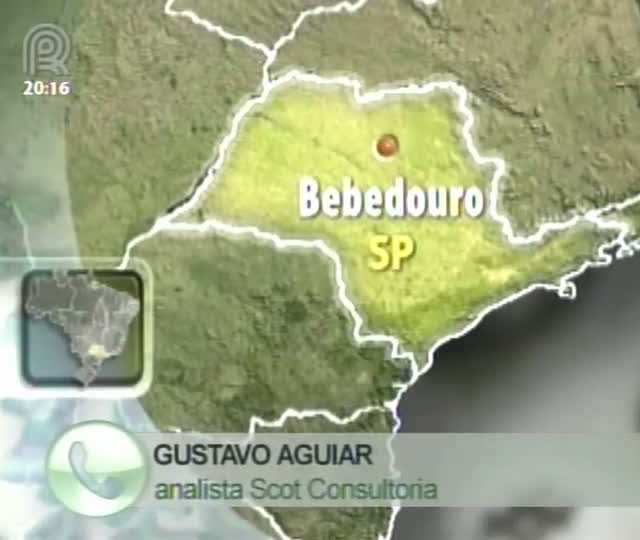 Analista da Scot Consultoria fala sobre suporte dos pastos
