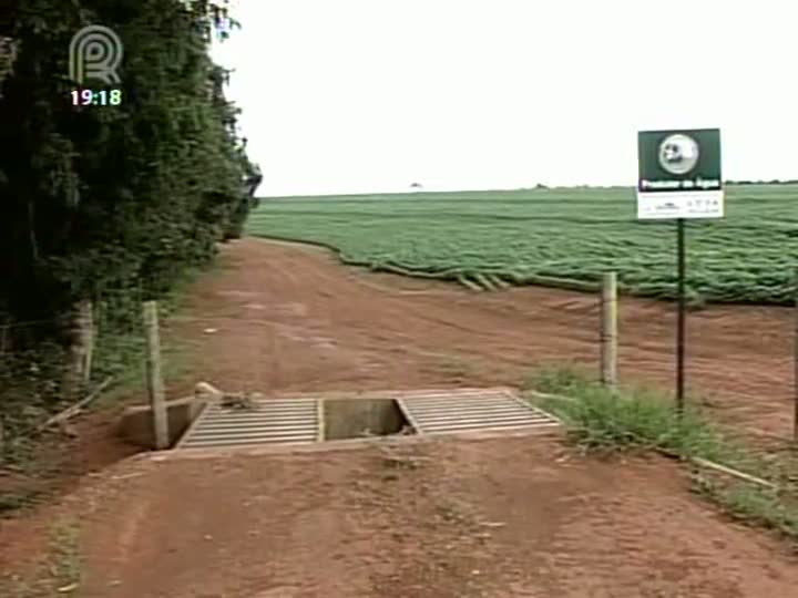 Programa de Agricultura de Baixo Carbono atrai produtores para atividades sustentáveis