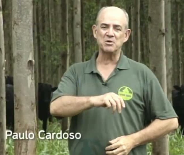 Programa Painel Florestal TV mostra como deve ser feita a análise de solos no processo de plantio