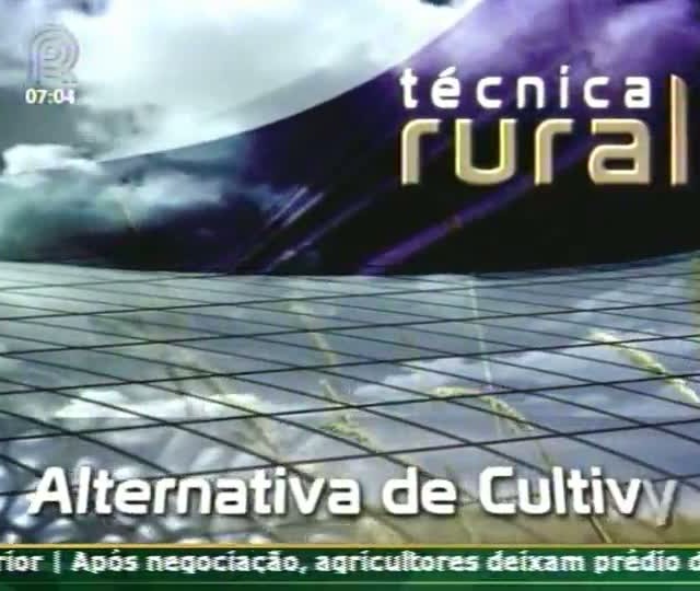 Técnica Rural - Silagem de inverno