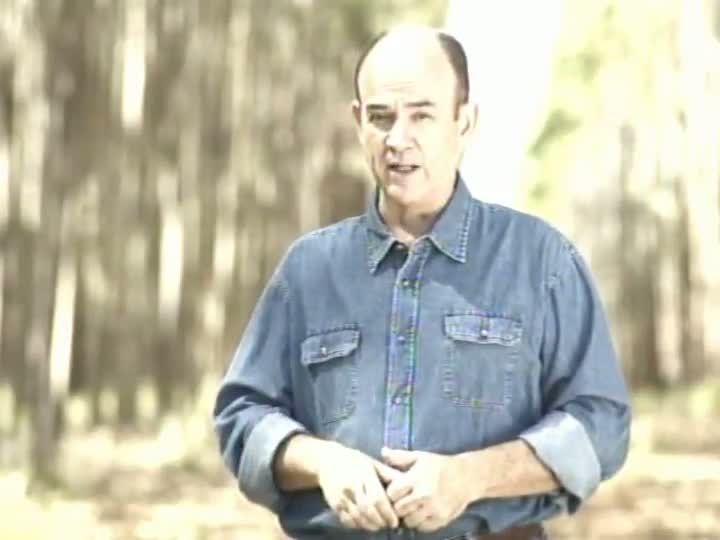 Painel Florestal TV mostra uma casa toda construída de eucalipto