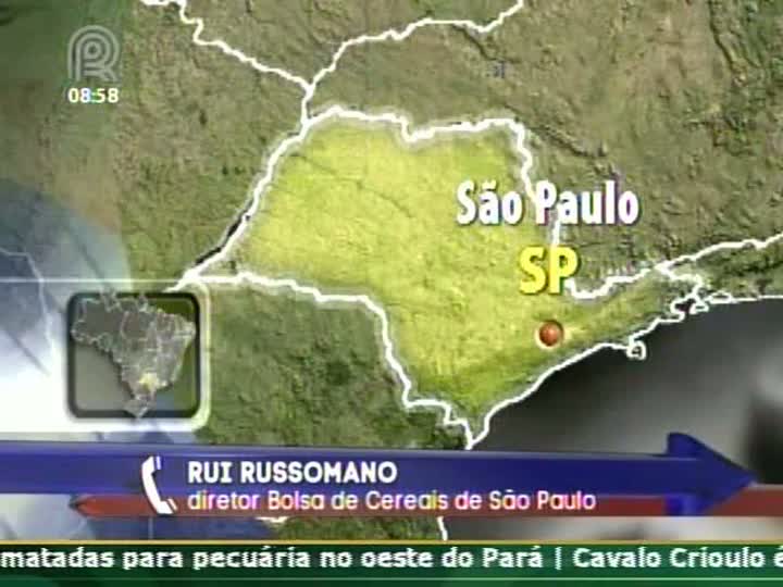 Diretor da Bolsa de Cereais de São Paulo prevê que preços do feijão devem voltar a subir