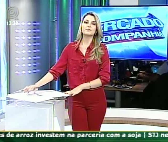 Repórter do Soja Brasil fala sobre ataque de lagartas helicoverpa nas lavouras de soja na Bahia