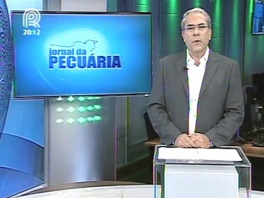 Analistas se preocupam com a especulação do mercado do boi gordo