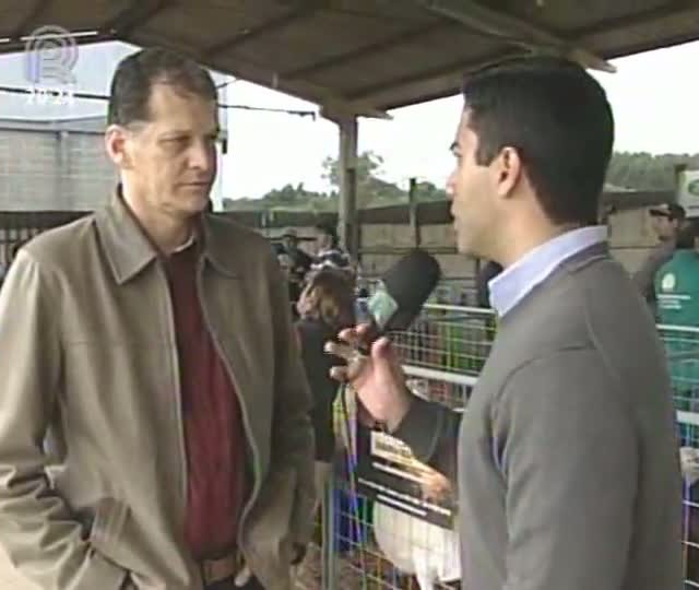Produtores de ovinos e caprinos mostram como investir no setor pode ser lucrativo