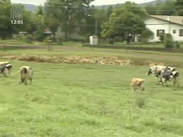 Via Láctea: como fazer o controle do carrapato