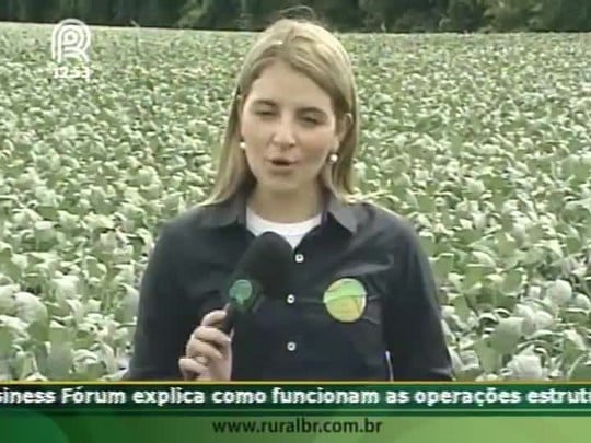 Produtores do norte gaúcho garantem produtividade mesmo depois da seca