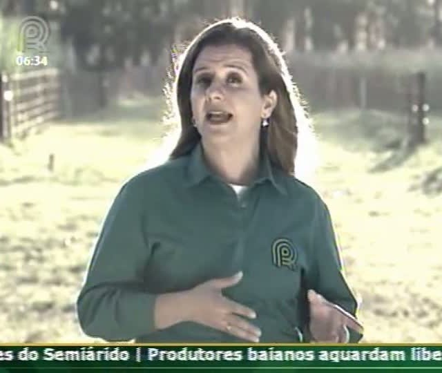 Técnica Rural - Xisto Agrícola