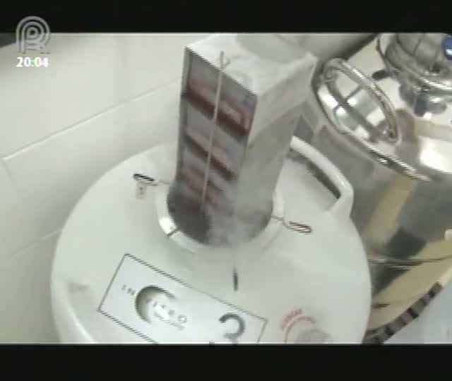 Programa Radar desvenda a clonagem de equinos