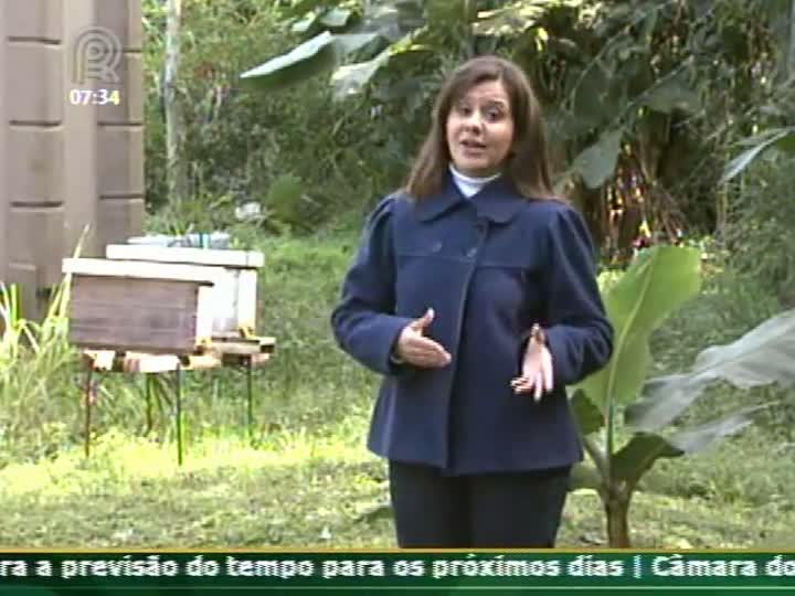 Técnica Rural - Alternativa de Criação - Nutrição especial para abelhas no inverno