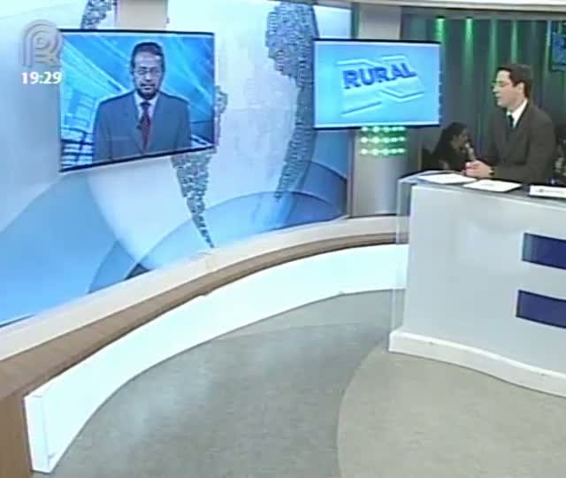 Miguel Daoud comenta a perda de competitividade das exportações de frango