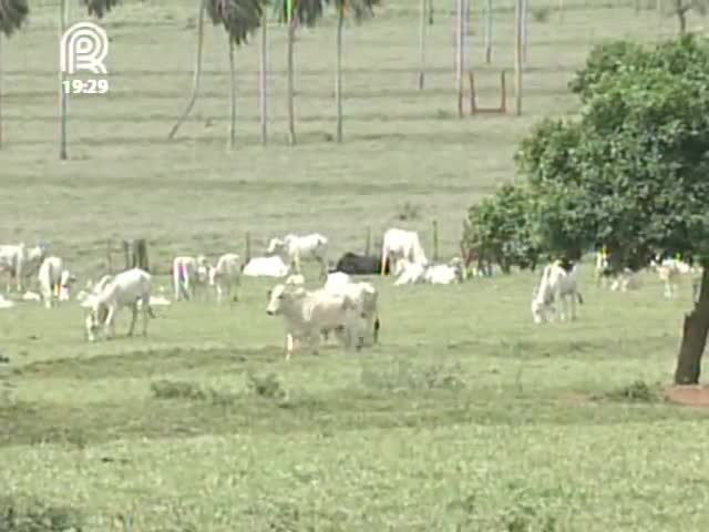 Mobilização une produtores de Mato Grosso do Sul, Mato Grosso e Paraná contra demarcações de terras indígenas