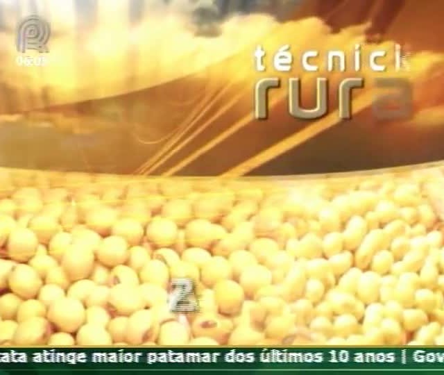 Técnica Rural - Soja - Lançamento de novas cultivares