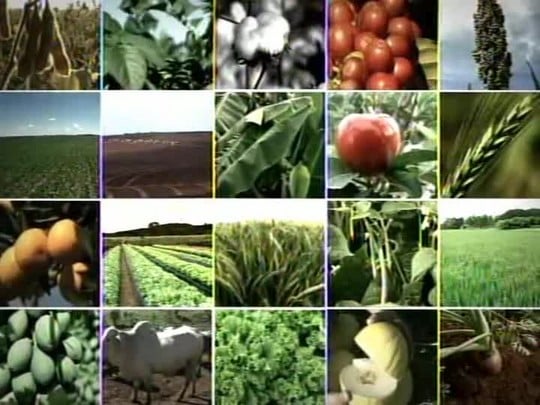 Tecnologia do Campo reprisa série de reportagens sobre o cultivo da soja