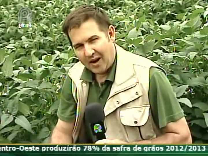 Produtor rural do Paraná fala sobre a safra de soja em Capanema (PR)