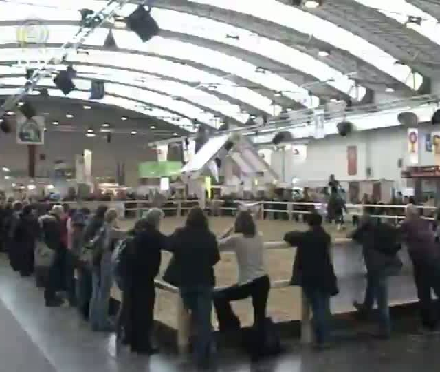 Mangalarga Marchador TV mostra a Equitana 2013, na Alemanha - Parte 2