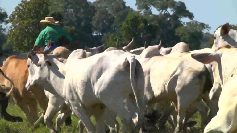 Parceiros do Campo – Miranda – MS