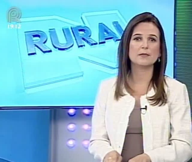 Confira a previsão do tempo para o Rio Grande do Sul