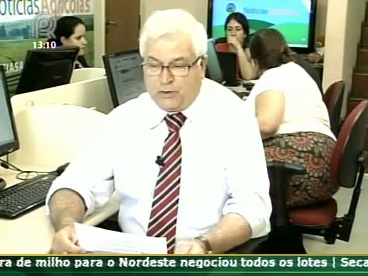 Analista de mercado comenta a repercussão da divulgação do relatório da USDA para o mercado de milho e soja