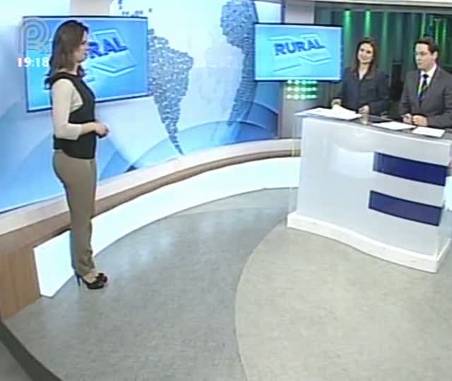Confira a previsão do tempo para o Paraná