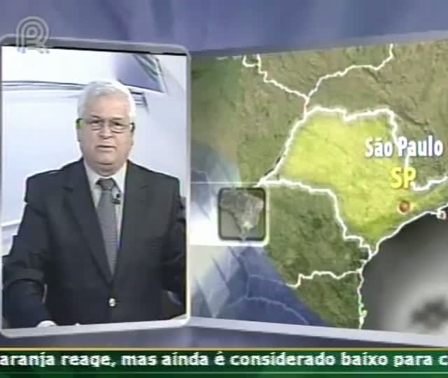 Preços do boi gordo podem chegar a R$ 110,00