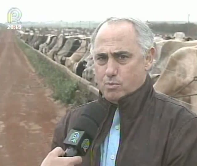 Oferta de gado confinado deve ser menor no final de 2013