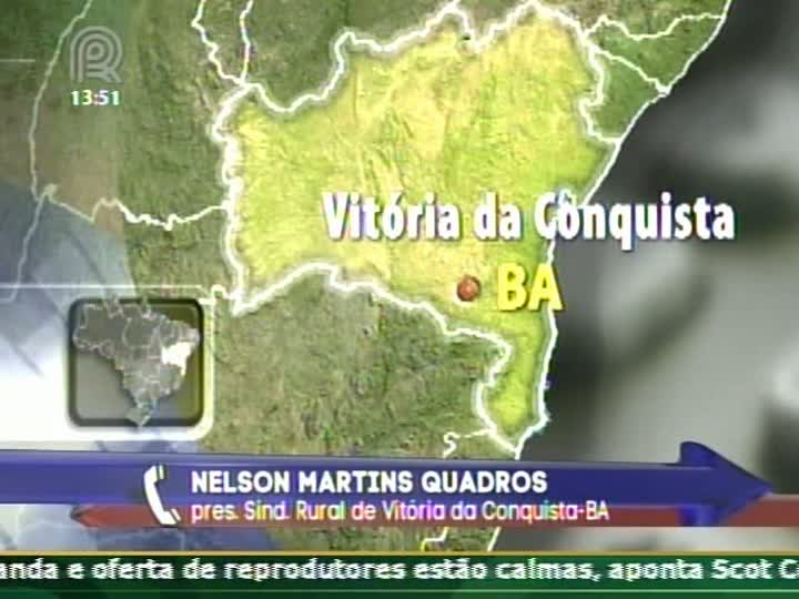 Presidente do Sindicato Rural de Vitória da Conquista (BA) fala sobre a situação de seca na região