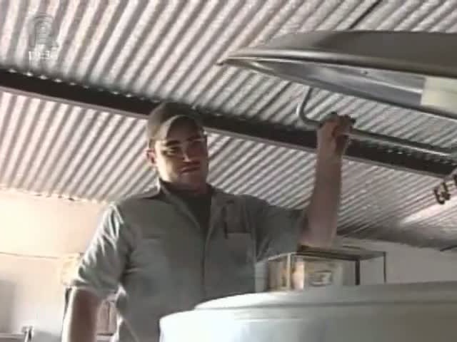 Especialistas apontam preços em alta para setor lácteo
