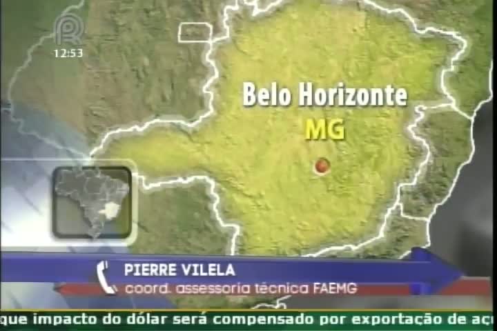 Feijão importado pode interferir na decisão de plantio no Brasil, afirma o coordenador de Assessoria Tecnica da FAEMG