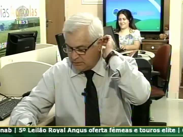 Analista da FC Stone fala sobre o mercado de boi gordo