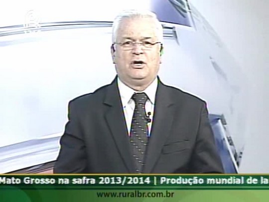 Especialista fala sobre os problemas logísticos dos portos brasileiros